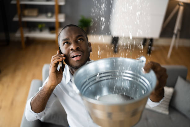 Best Water damage mitigation services  in Savage, MN