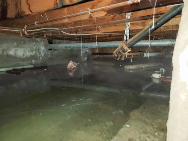 Best Emergency water damage restoration  in Savage, MN