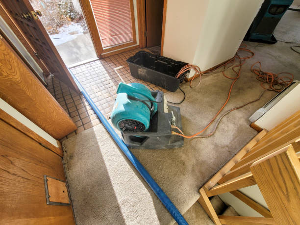 Best Water damage restoration experts  in Savage, MN