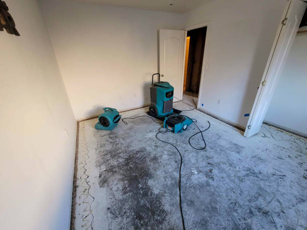 Best Ceiling water damage repair  in Savage, MN