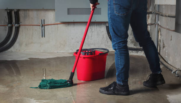 Best Flood damage cleanup  in Savage, MN