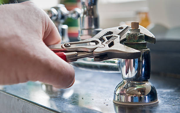 Best Mold removal after water damage  in Savage, MN