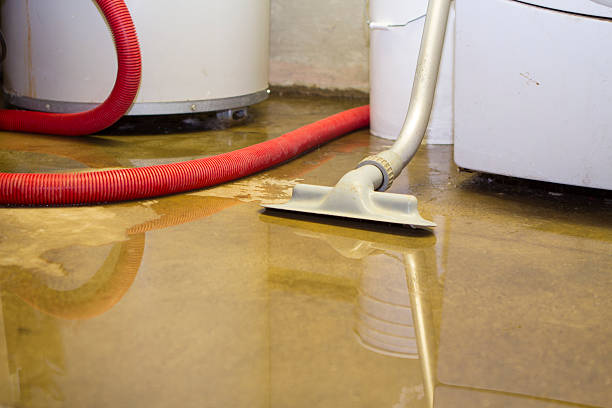 Best Water damage repair service  in Savage, MN