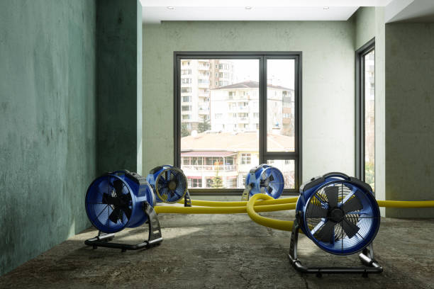 Best Fire Damage Restoration  in Savage, MN